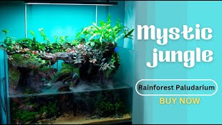 Rainforest Paludarium || Mystic Jungle