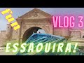 VLOG 3- 🌊يلاه بلا عكز نجيبو دويرة فالصويرة Essaouira 2023 😍💨Street Food