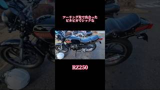 水冷２スト‼【YAMAHA RZ250】#旧車バイク #rz250