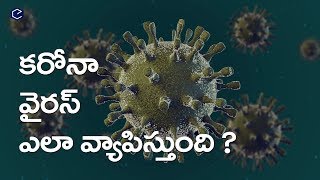 కరోనా వైరస్ ఎలా వ్యాప్తి చెందుతుంది | Corona virus spread in Telugu | Eduscope