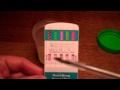 Conducting a 5 panel urine drug test. Guide to how it works and how to read the results