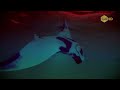Ingo Herrmann - Rolling - Deluxe Lounge TV