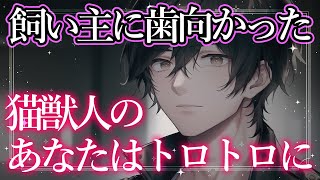 【女性向けボイス】飼い主に歯向かった猫獣人のあなたはトロトロにされてしまう【ASMR/シチュエーションボイス】