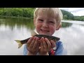 10 Species Fishing Challenge - Shiners, Bass, Catfish, Carp, Bluegill, Snakehead, Sunfish & More