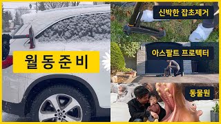 🇨🇦 캐나다 브이로그 키키네 / 월동준비, 잡초제거, 아스팔트 프로텍터, 동물원