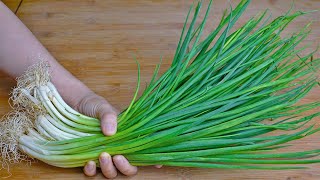 How to preserve chives, the chef told me the trick, buying once a year is enough, too practical