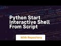 python start interactive shell from script