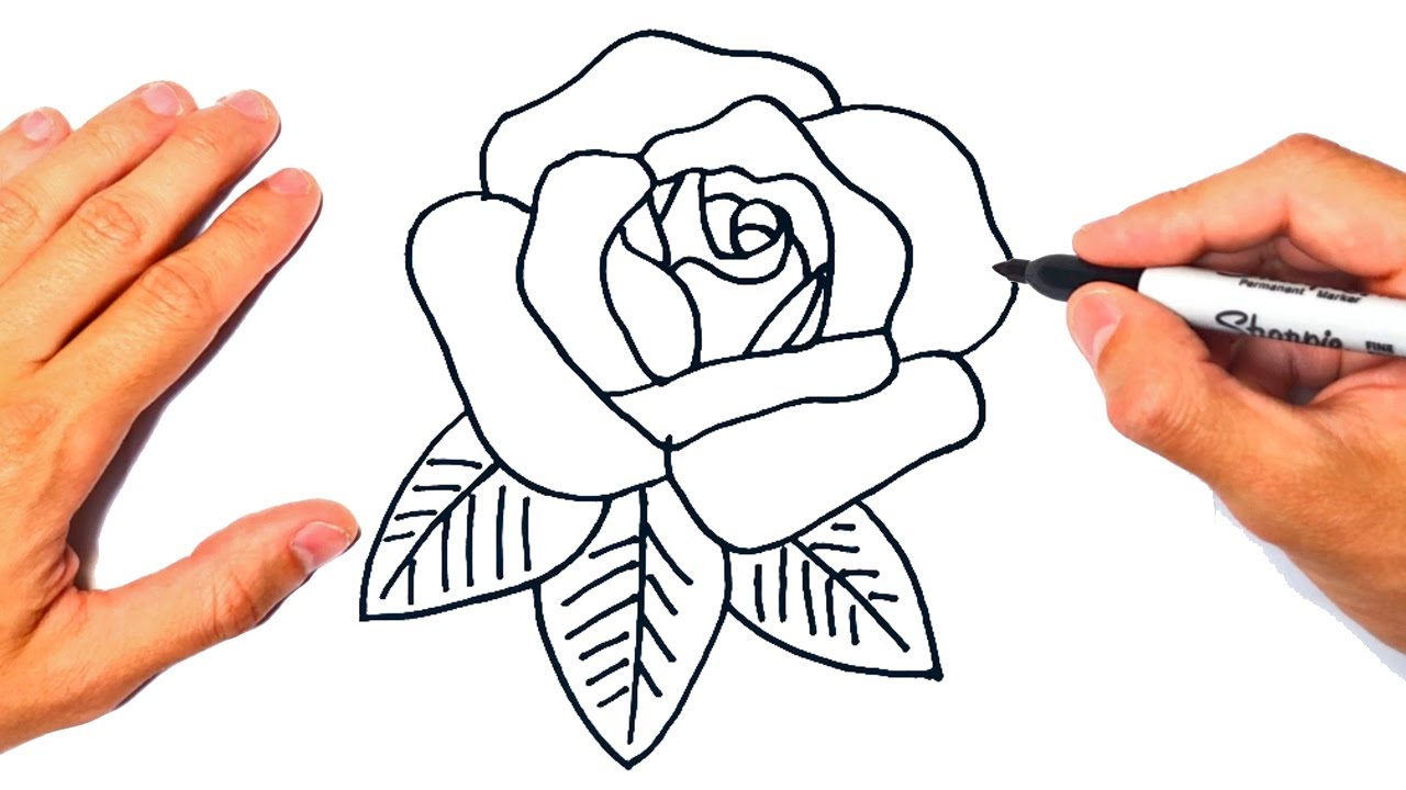 Como Dibujar Una Rosa Facil Easy Drawings Dibujos Faciles Dessins ...