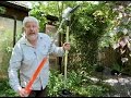 ESSAI PRATIQUE DU TAILLE-HAIES SUR PERCHE STIHL