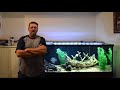 jeff s 135 gallon cichlid tank