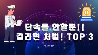 [법장이(변호사 TV)] 단속을 안할뿐 걸리면 처벌 TOP3