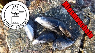 Überleben am Meer 8. Miesmuscheln aus der Ostsee | Martin´s Bushcraft