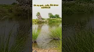 ఓ దేవుడా ఒక్క చేప కూడా పడలేదు కదా!!!!! #fishhunting #fishing #fish #fish