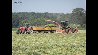 Pinkamenti Agrár Kft. 2017 Szenázsolás (Claas Xerion 3800, Massey Ferguson 7726, Rába 250, 8x MTZ)