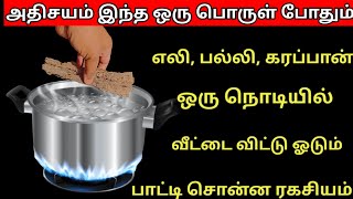 இந்த பொருள் போதும் எலி கரப்பான் பல்லி உங்க வீட்டு பக்கமே வராது 100% ரிசல்ட் உறுதி /get rid off rat