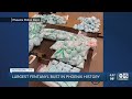 largest fentanyl bust in phoenix pd history