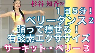 1日5分!ベリーダンスで踊って痩せる2【サーキットベリー3】ノンストップベリーダンスでくびれ美人