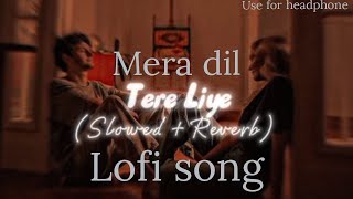Mera dil tere lia dhadakta hai lofi song#lofi #lofimusic (reverb+solved)