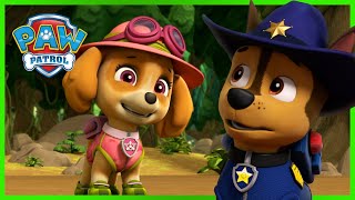 Chase and Skye Rescue Missions and MORE - PAW Patrol - Cartoons for Kids
