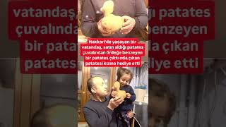 HAKKARİ'DE BİR ABİMİZ SATIN ALDIĞI BİR ÇUVAL PATATES'İN İÇİNDEN ÖRDEYE BENZEN PATATES ÇIKINCA KIZINA