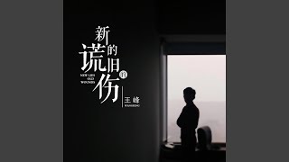 新的謊舊的傷 (DJ默涵版)