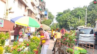 today visit galiff street sambazar plants market. lowest price plant kolkata largest plant market...