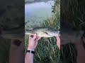 homemade whopper plopper in 60 seconds shorts