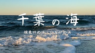 千葉の海ってこんなところ～検見川の浜・いなげの浜～