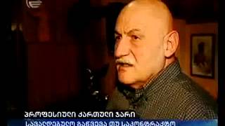 პროფესიული ქართული ჯარი