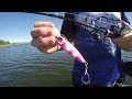 Big Barra on slow pitch jig with Elite Tackle