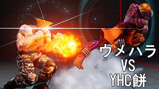 アグニの神よ ウメハラガイル対餅ダルシム 3先　Daigo Umehara(Guile) VS Mochi(Dhalsim) FT3