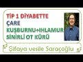 TİP 1 DİYABETTE KARŞI KUŞBURNU+IHLAMUR +SİNİRLİ OT KÜRÜYLE RAHATLAYIN ~ Şifaya vesile Saraçoğlu