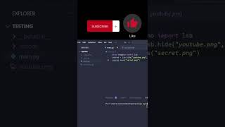 Hide text in image using python (steganography)😎💥 #programming