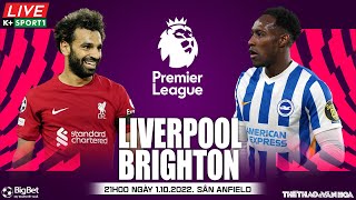NGOẠI HẠNG ANH | Liverpool vs Brighton (21h00 ngày 1/10) trực tiếp K+SPORTS 1. NHẬN ĐỊNH BÓNG ĐÁ