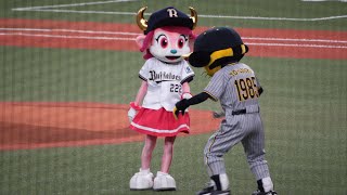 2023-10-28 日本シリーズ第1戦 ベルちゃんとトラッキーが仲良すぎ