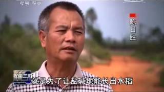 20150114 聚焦三农 三农人物推介活动 陈日胜