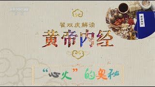 黄帝内经 5 “心火”的奥秘  【百家讲坛 20160412】超清版