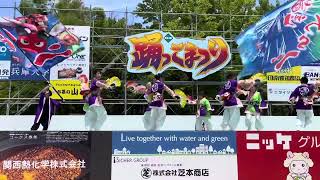 第24回 加古川 踊っこまつり 2022  たつのよさこい「播州わらべ」