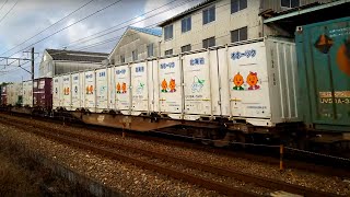 貨物列車5052ﾚ　UV19A玉ねぎコンテナ7個積載