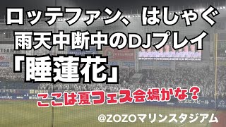 ロッテファン、雨天中断中に睡蓮花でもはしゃぐ