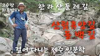 하르방TV 제89회 한라산둘레길, 산림휴양길과 동백길을 걷다.