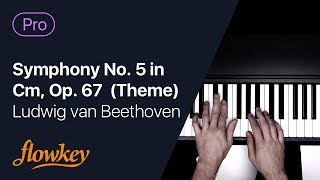 Symphony No. 5 in Cm, Op. 67 (Theme) – L. v. Beethoven