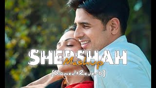 Shershaah Lofi Mashup [Slowed+Reverb] Shershaah All Songs | Bpraak | Darshan Raval | Mann Bharryaa