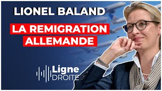 Excédé par l'invasion migratoire, un parti allemand propose la remigration - Lionel Baland