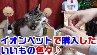 イオンペットで購入した猫グッズ・おもちゃ・ご飯を紹介☆リキちゃんがリキ渕剛に！？☆NOW・にゃん絵馬・ピカピカゆらくるパンチ【リキちゃんねる・猫動画】Cat video　キジ白猫のいる暮らし