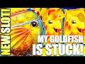 ★NEW SLOT!★ SUPER BIG WIN! GOLD FISH FEEDING TIME Slot Machine (LIGHT & WONDER)