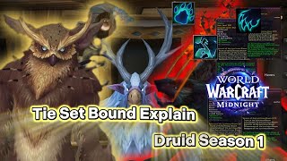 Do Druids Belong in Midnight? Tier Sets & Class Identity Explained ! (Beta)
