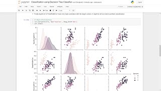 Classification using Decision Tree Classifier (TSF)