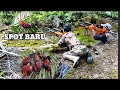 spot baru bikin sniper kewalahan/berburu ayam hutan