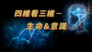 四维看三维—生命与意识，DNA与大脑运作